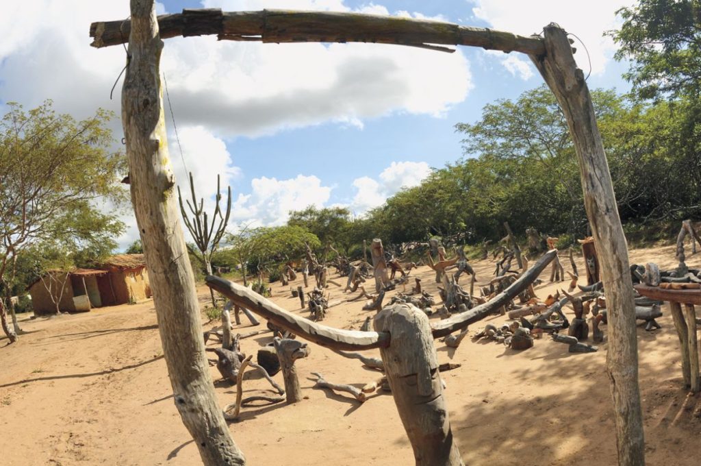 Animais nascidos de troncos e galhos
