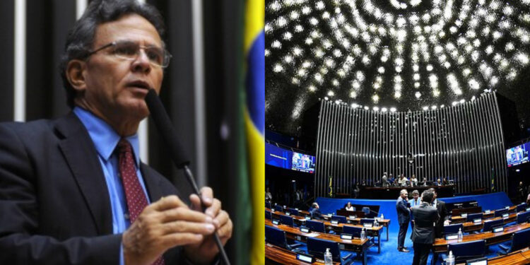 Direção Estadual da Rede indica Paulo Rubem para o Senado