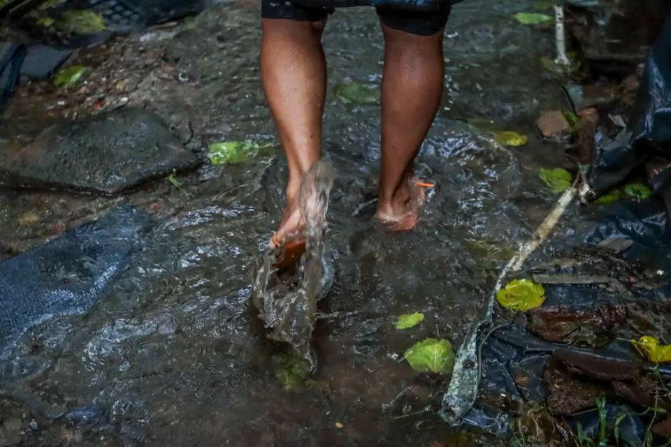 Leptospirose: o perigo silencioso trazido pelas chuvas e alagamentos