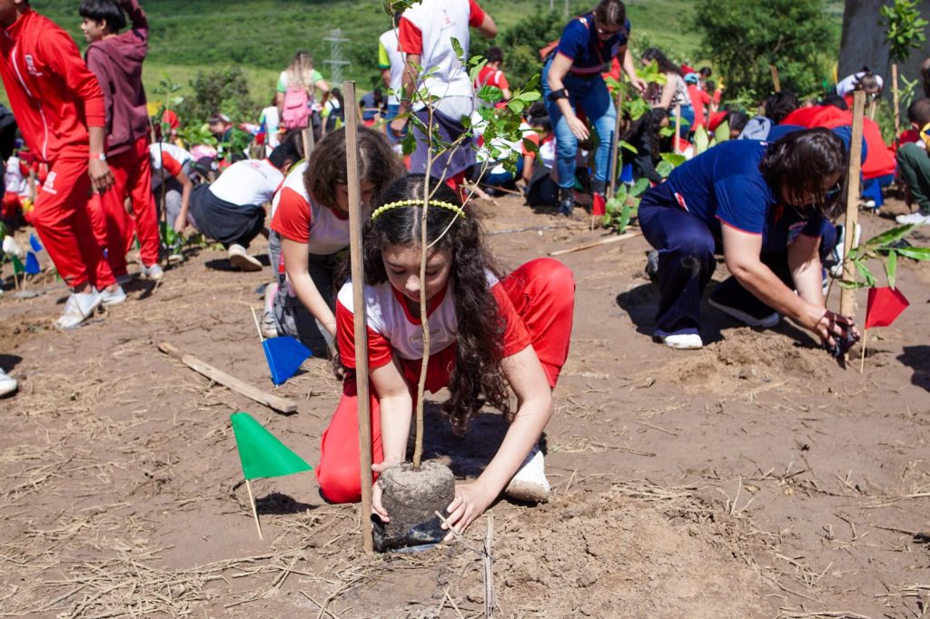Semana do Meio Ambiente 2026: Garanhuns realiza plantio simultâneo de 2.500 árvores nativas