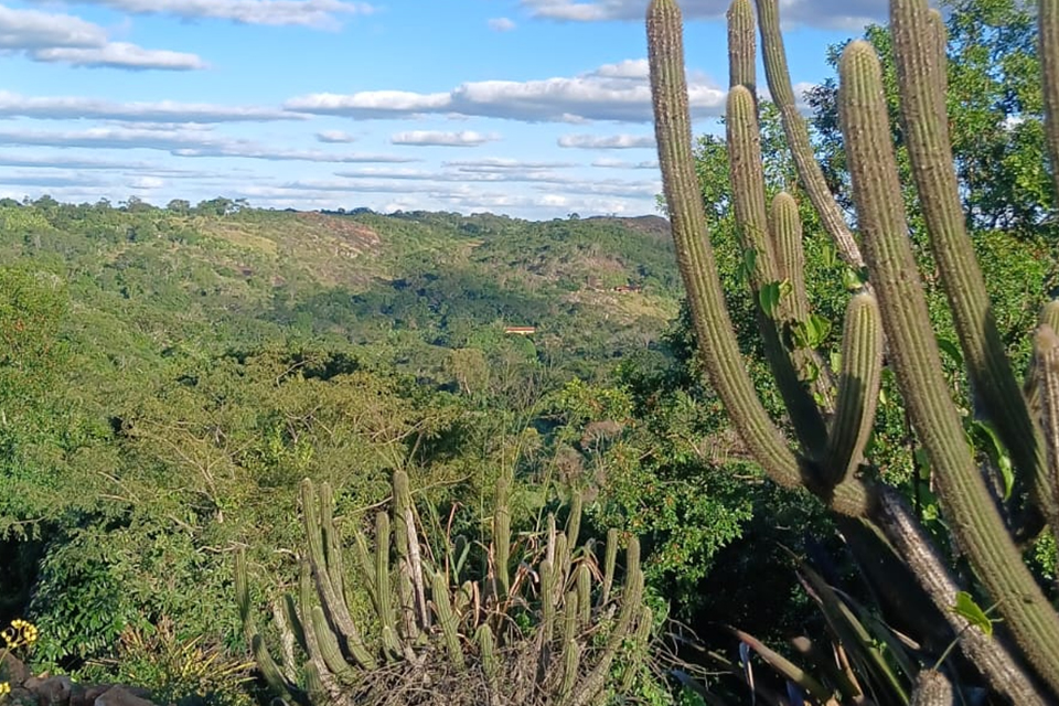 Consultas públicas para criação de unidades de conservação da caatinga começam nesta quarta (10)