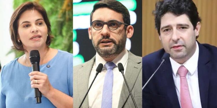 Priscila Krause move ação contra deputados do PSB por calúnia e difamação