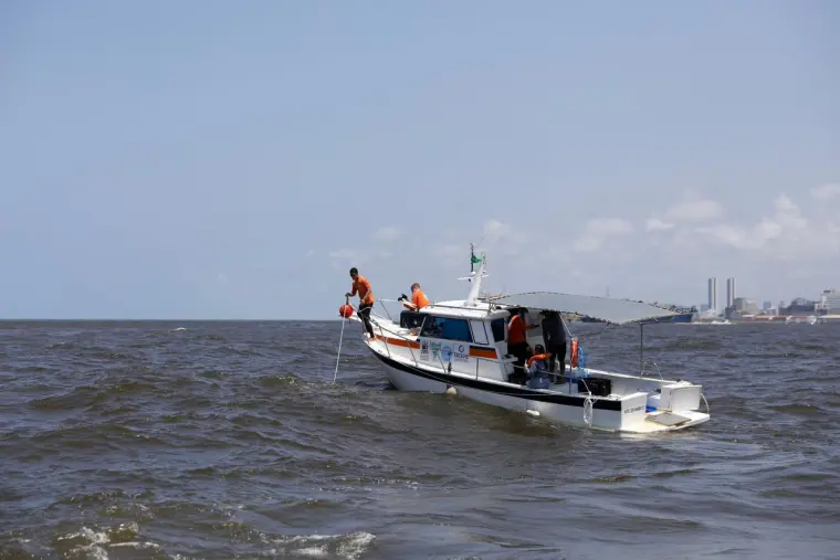 Governo de Pernambuco retoma monitoramento de tubarões no litoral da RMR 11 anos depois de suspensão